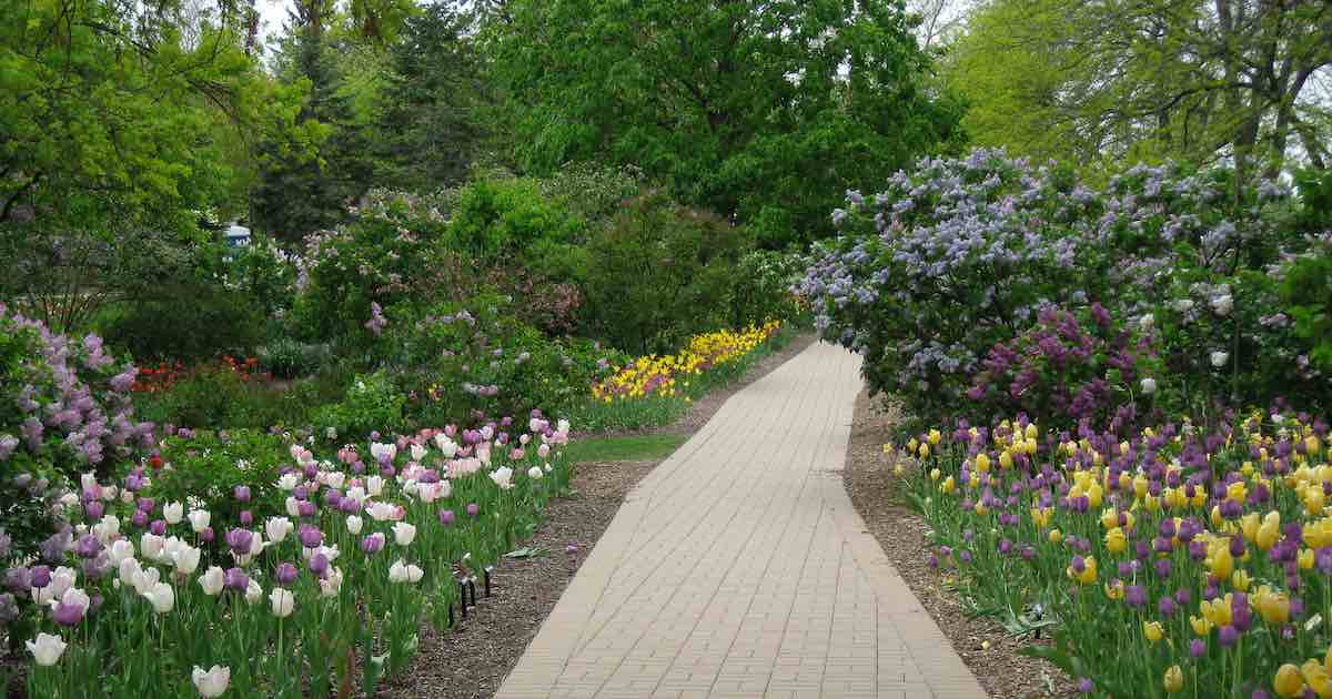 Lilacia Park path in springtime